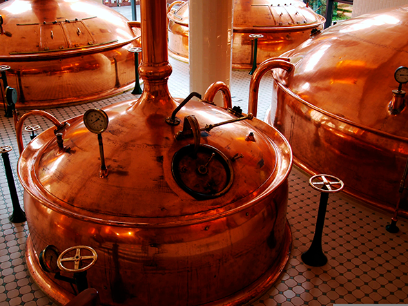 Biorreatores e processos fermentativos